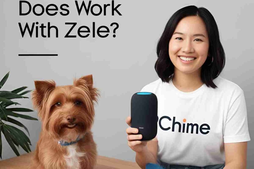 does chime work with zelle